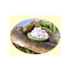 Kippers i vand fra Glyngre (Kippers(fish) in water, Glyngre)