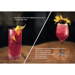 Snaps Bornholm Nr. 6 med Blbr og citron, 40%, 50cl. Kun 1 til salg.